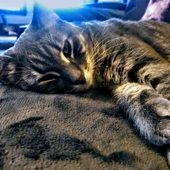 Meet your Posher at Salvage and Sage! - Picture 4 of 5